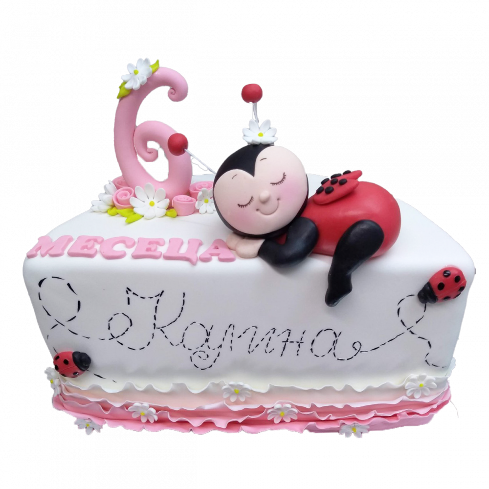 6 месеца калинка DE048