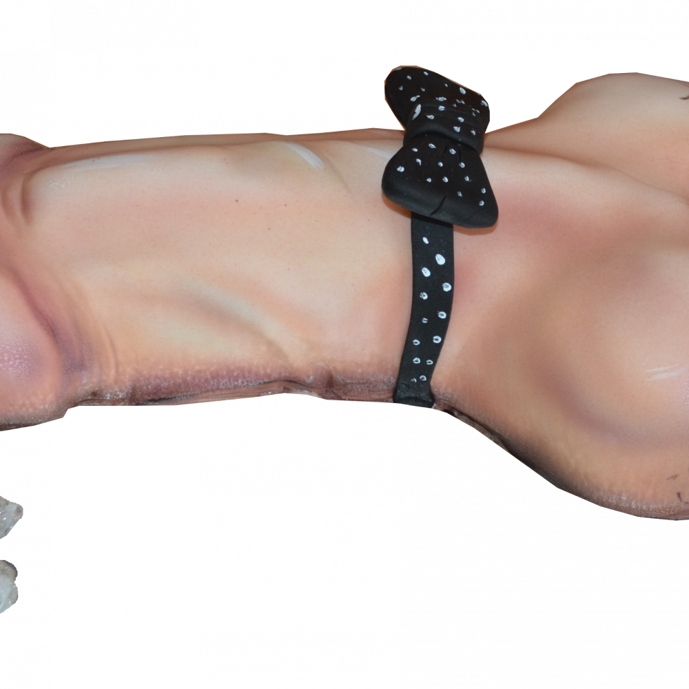 пишка пенис хуй кур моминско парти фалос торта