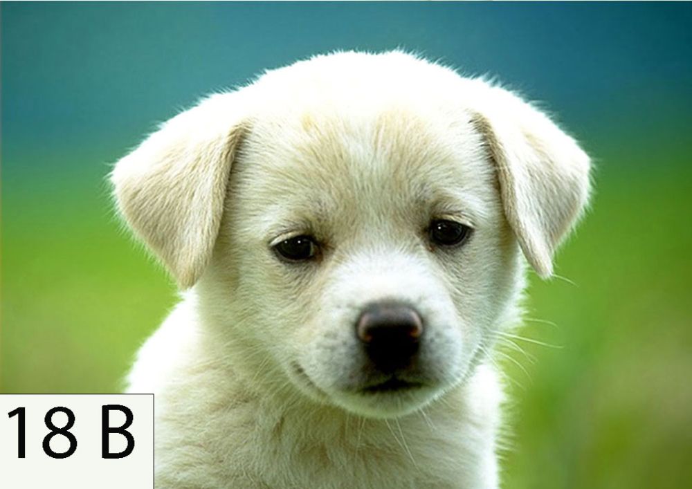 Детска Фототорта