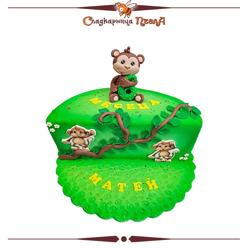 6 месеца маймунки DE011